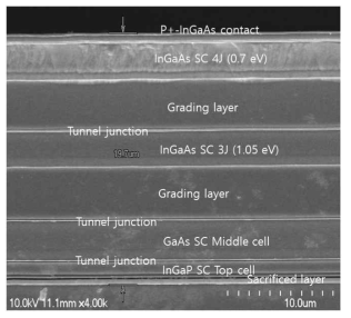 IMM 4중접합 태양전지의 단면 SEM 사진