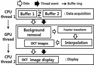GPU 기반 실시간 OCT 출력 순서도