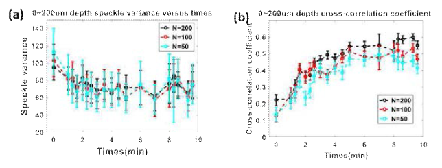 획득 데이터 개수에 따른 스펙클 변화 및 상관관계의 변화