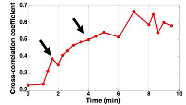 공기 중에 노출된 혈액의 응고 과정 중 Cross-correlation coefficient 값 변화