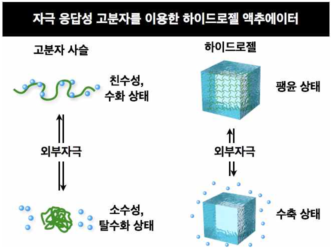 자극응답성 고분자와 하이드로젤의 외부자극에 의한 변화 양상