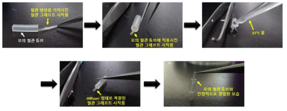 94%PCL-6%PGMA 형상기억 고분자를 이용한 diffuser type 혈관 그래프트 시작품의 형상 기억능 평가