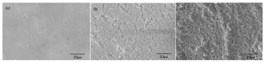 금속코발트 SEM 이미지 (a) 반응 전 (b) -300 V DC 바이어스 미적용 (c) -300V DC 바이어스 적용