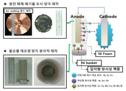 방사성핵종 재오염 방지를 위한 Ni Foam 분리막을 적용 전해 제염 기술 설계