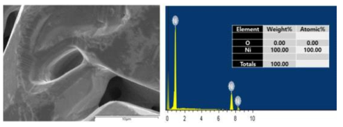 전해제염을 통해 회수된 환원물의 SEM & EDS 분석 결과(LiCl-KCl-2 wt.% NiCl2-2 wt.% CoCl2, 500 mA/cm2 전류밀도)