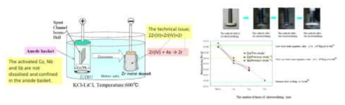 Zr 제염 Cell 모식도(좌), 실제 Zr 시편 제염 실험 결과(우)