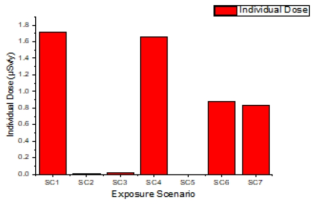 시나리오별 개인피폭선량