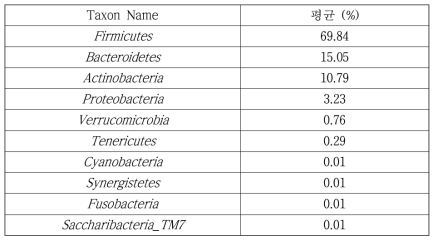 phylum level에서 분석한 장내 미생물 분포표