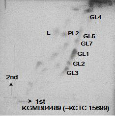 The polar lipid profiles of strain KGMB04489T and reference strains after staining with molybdophosphoric acid. PL, unidentified phospholipid; GL, unidentified glycolipid; L, unidentified lipids