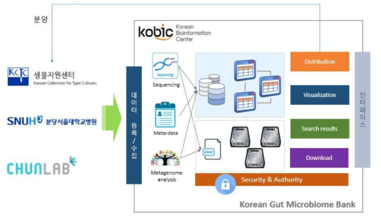 Korean Gut Microbiome Bank (KGMB) 데이터 수집 및 서비스 모식도