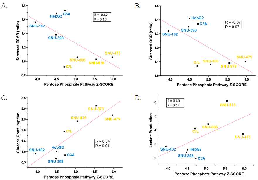 8예 간암 세포주의 Pentose Phosphate Pathway 와 (A) Stressed ECAR, (B) Stressed OCR, (C) Glucose Consumption, (D) Lactate Production 상관관계 분석 결과 (파란색:low-glycolytic, 주황색: glycolytic)