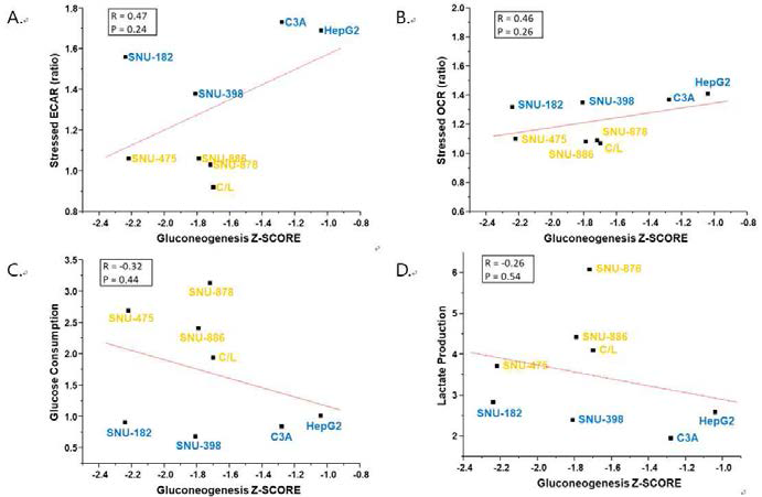 8예 간암 세포주의 Gluconeogensis Pathway 와 (A) Stressed ECAR, (B) Stressed OCR, (C) Glucose Consumption, (D) Lactate Production 상관관계 분석 결과(파란색: low-glycolytic, 주황색: glycolytic).