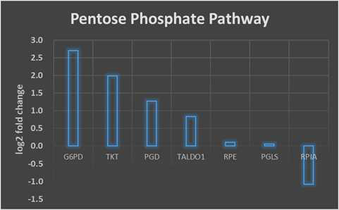 Glycolytic 간암 세포주 4예와 non-glycolytic 간암 세포주 4예에서 Pentose Phosphate Pathway 주요 유전자의 발현값의 차이