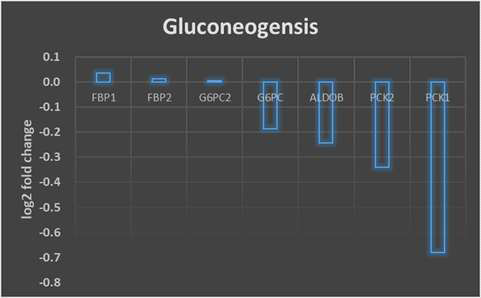 Glycolytic 간암 세포주 4예와 non-glycolytic 간암 세포주 4예에서 Gluconeogensis Pathway 주요 유전자의 발현값의 차이