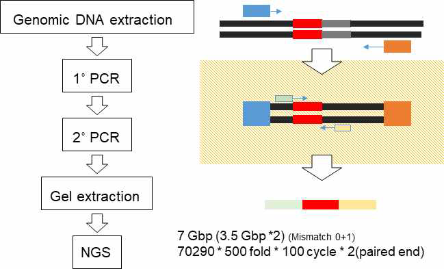 NGS 의뢰 샘플 제작 모식도