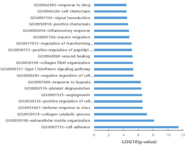 Glycolytic 종양군 특이적인 553개 유전자들의 분자생물학적 기능 예측