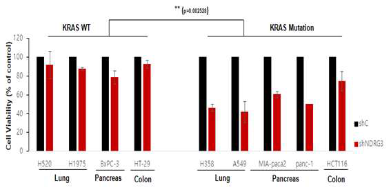 KRAS wild-type / KRAS 돌연변이 세포주에서 NDRG3의 발현억제를 통한 세포 증식 억제력 비교