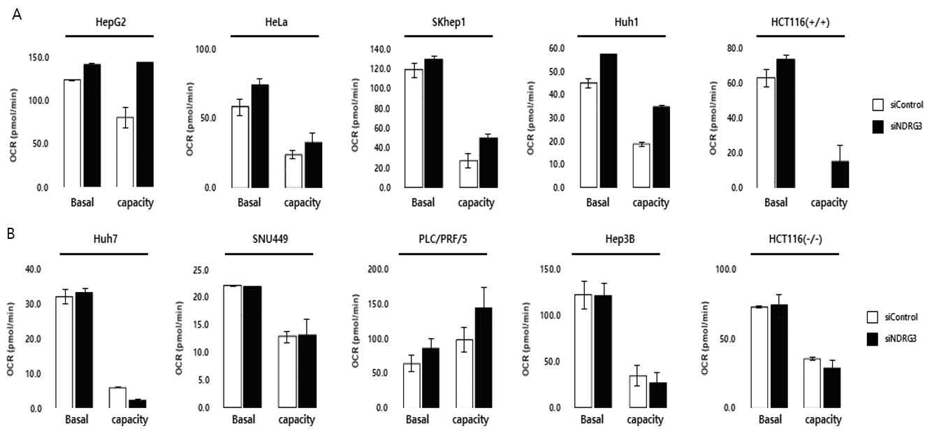 발암성 인자 p53에 따른 NDRG3 발현 감소 및 산소 소비량 관계. A. p53 wild type 세포주의 산소 소비량, B. p53 mutant / null type 에서의 산소 소비량