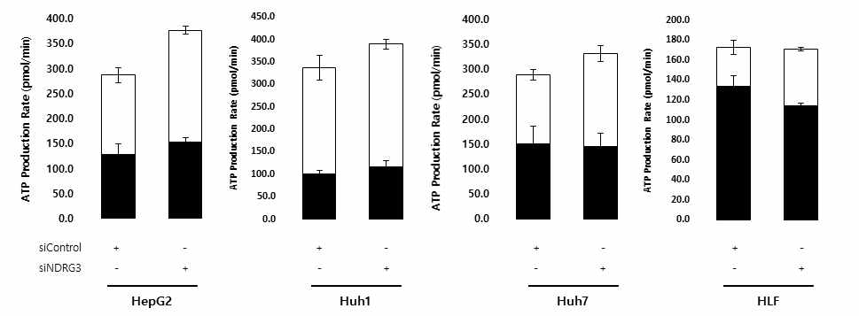 젖산신호 핵심인자 NDRG3 유전자 발현에 따른 세포 내 전체 ATP 총량