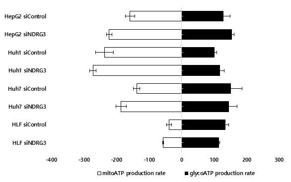젖산신호 핵심인자 NDRG3 유전자 발현에 따른 glycolysis 및 mitochondria respiration으로 구분된 ATP 생성량 변화