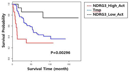 5-활성타겟인자에 의한 KRIBB 간암 (n=90) 환자군 분류에 따른 3-그룹 (NDRG3_High_Act, Tmp, NDRG3_Low_Act)의 생존분석 (Kaplan-Meier curve)
