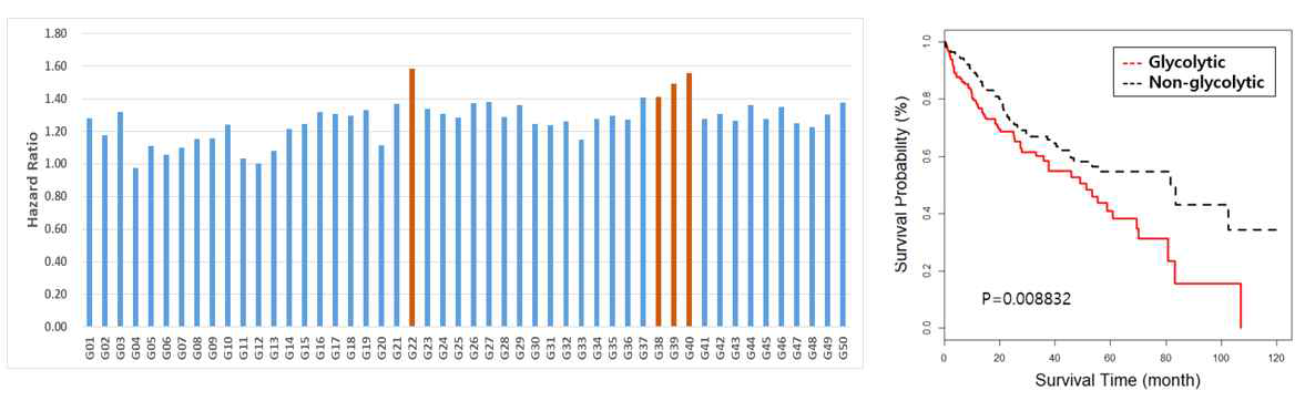 50-Glycolytic 바이오마커군의 hazard ratio (A) 및 생존분석(Kaplan-Meier curve) (B)