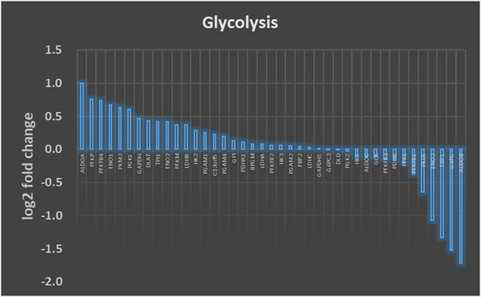 Glycolytic 간암 환자군 45예와 low-glycolytic 간암 환자군 45예에서의 Glycolysis Pathway 주요 유전자의 발현값의 차이