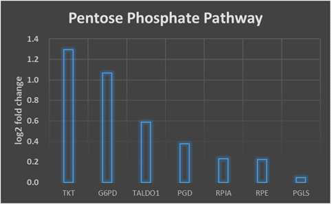 Glycolytic 간암 환자군 45예와 low-glycolytic 간암 환자군 45예에서의 Pentose Phosphate Pathway 주요 유전자의 발현값의 차이