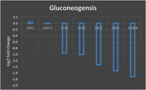 Glycolytic 간암 환자군 45예와 low-glycolytic 간암 환자군 45예에서의 Gluconeogenesis Pathway 주요 유전자의 발현값의 차이