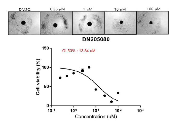 Huh7 spheroid에서 NDRG3 저해제인 DN205080의 Growth Inhibition (GI) 확인. Huh7-spheroid (1x103)을 DN205080 처리 후, 3 일간 U bottom 96 well plate에서 만들어진 spheroid에 대한 CellTiter-Glo를 이용하여 spheroid 증식 억제 확인