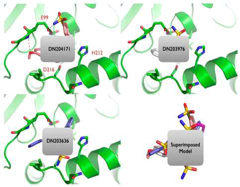9 화합물 유도체들과 NDRG3의 결합모델