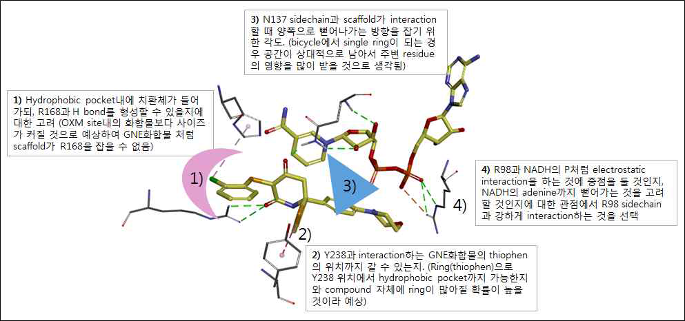 LDHA 와 대조물질의 Pharmacophore 분석