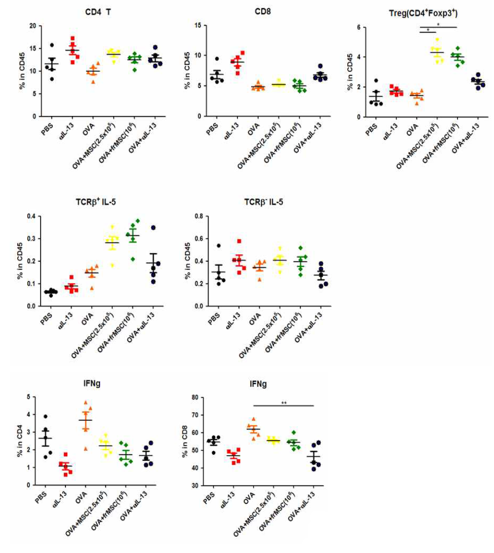 OVA 천식모델에서 MSC 투여 후 적응면역세포의 변화