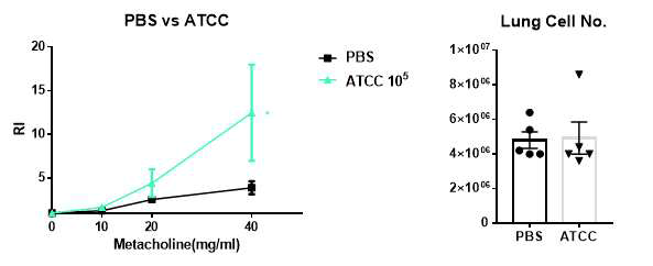 MSC 자체 효과 – ATCC 유래 MSC의 효과 검증: ATCC MSC 처리시 기도저항성 증가 (Naive ATCC 105 cells)