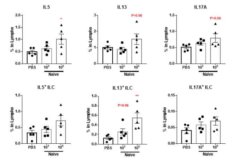 MSC 단독 효과 – Naive MSC 처리군에서 type 2 & 17 cytokine 변화