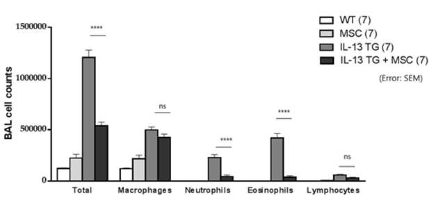 Liproxstatin-1으로 priming한 MSC가 IL-13 transgenic mouse의 기도 염증에 미치는 영향