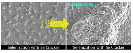 Se Cracker로 제작한 CIGS 흡수층 박막의 SEM top-view 이미지