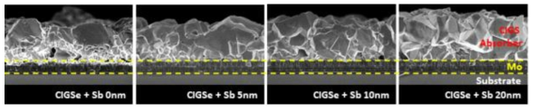 안티몬 첨가량에 따른 2-step CIGS 흡수층 박막 단면 SEM 이미지