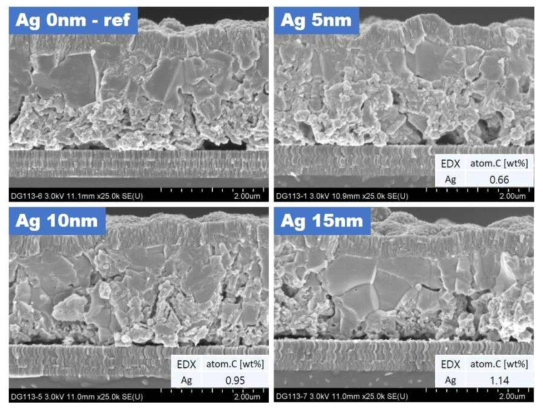 은을 첨가하여 2-step 공정으로 제조한 CIGS 광흡수층의 SEM 단면도와 EDX 분석 데이터