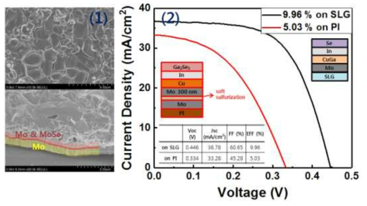 스퍼터링 공정을 이용한 2-step CIGS 흡수층 박막 SEM 이미지 및 태양전지 소자 I-V 그래프 비교 (1) 폴리머 기판 적용 CIGS 흡수층 (2) SLG 및 폴리머 기판 기반 CIGS 태양전지 소자 I-V 그래프