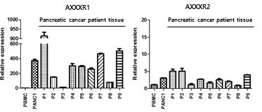 Realtime-PCR(SYBR)을 이용한 췌장암 환자 조직에서 신규 항원의 mRNA 발현 분석