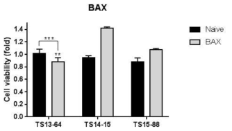 BAX 엑소솜을 이용한 세포 생존율 억제 확인