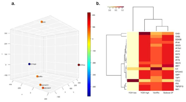 3D-MDS 와 hierachical clusting heatmap을 통한 전사체 분석