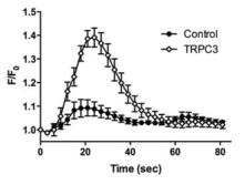 TRPC3(◇) 이온채널 및 pcDNA(Control ●)를 발현한 HEK293T 세포주에 SPC 1uM 처리 후 반응
