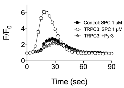 Pyr3를 전처리 한 후 TRPC3 발현 HEK293T 세포주의 SPC 1 uM에 대한 반응