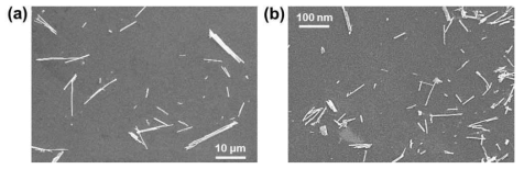 Bismuth nanorod의 SEM image. Electrodeposition 한 후, sonication 전 (a)과 후 (b)의 biosmuth nanorod의 크기 비교