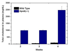 4주 동안 동맥경화증을 유발시킬 수 있는 식이를 섭취한 ApoE(-/-) 마우스의 총 콜레스테롤 혈중 농도 변화