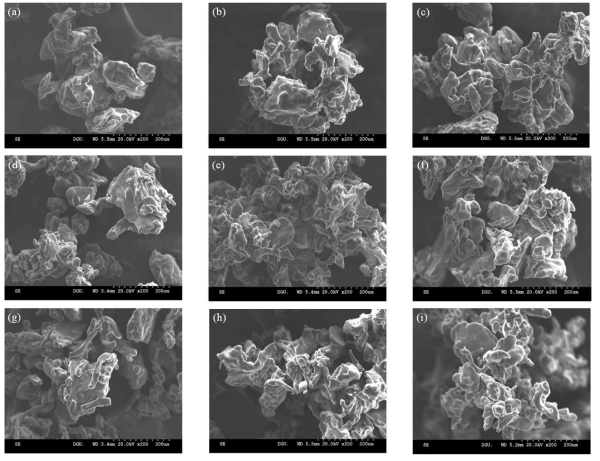 SEM micrograph for the granulated gum mixtures at magnification of 200x. (a), (b), (c) granulated XG with 10% maltodextrin (MD) as binder at each flow rate 10-30 ml/min. (d), (e), (f) granulated XG-GG binary mixtures with 10% maltodextrin (MD) as binder at each flow rate 10-30 ml/min. (g), (h), (i) granulated XG-GG-CMC Ternary mixtures with 10% maltodextrin (MD) as binder at each flow rate 10-30 ml/min