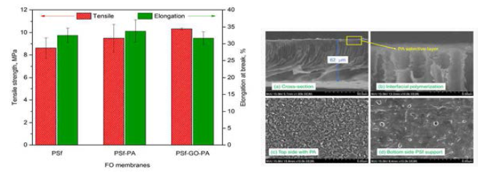 Mechanical properties and SEM images of PSf-sGO-PA membrane