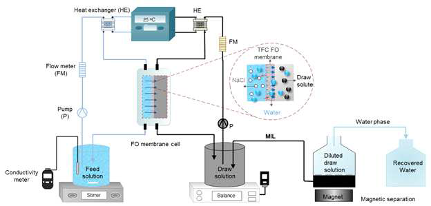 Schematic illustration of the FO process using MILs as draw solutions and the regeneration of the draw solute via magnetic separation